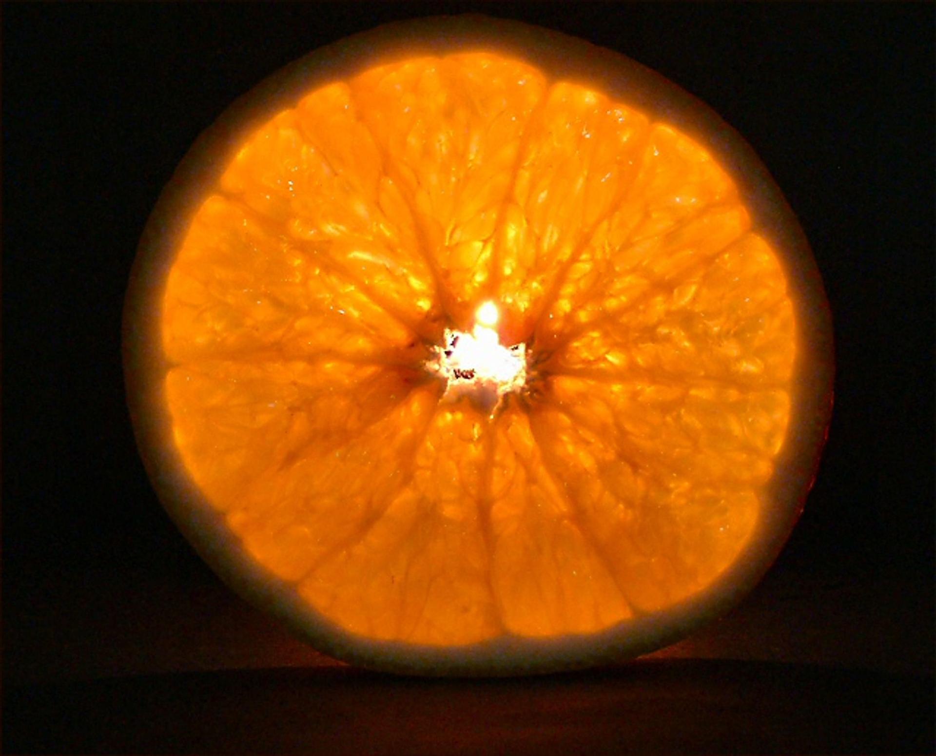 Backlit cross-section of an orange glowing against a dark background, used as a tagging input