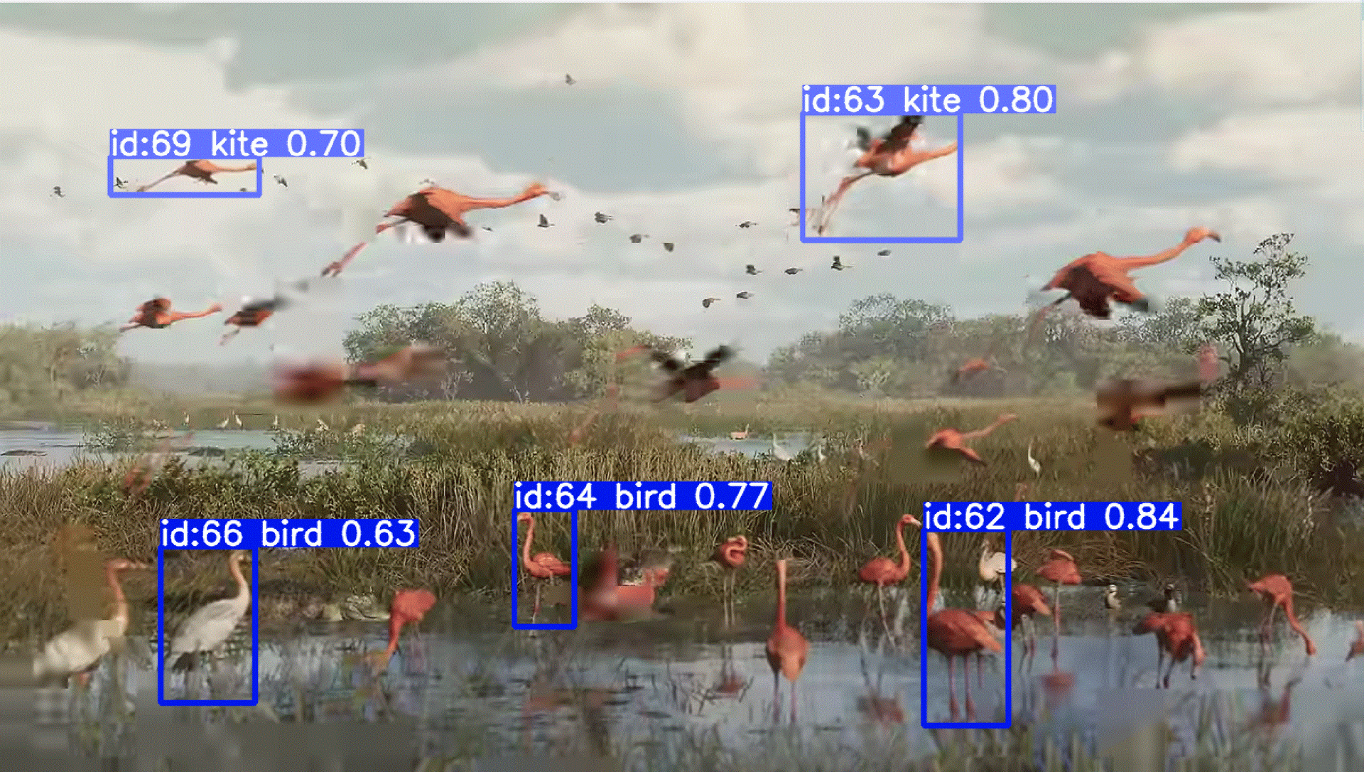 Wetland scene of flamingos from the GTA 6 trailer; YOLOv8 labels most as bird but tags some flying flamingos as kite
