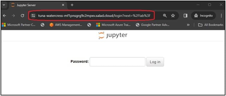 Jupyter password login page opened in a browser at the instance's salad.cloud access domain