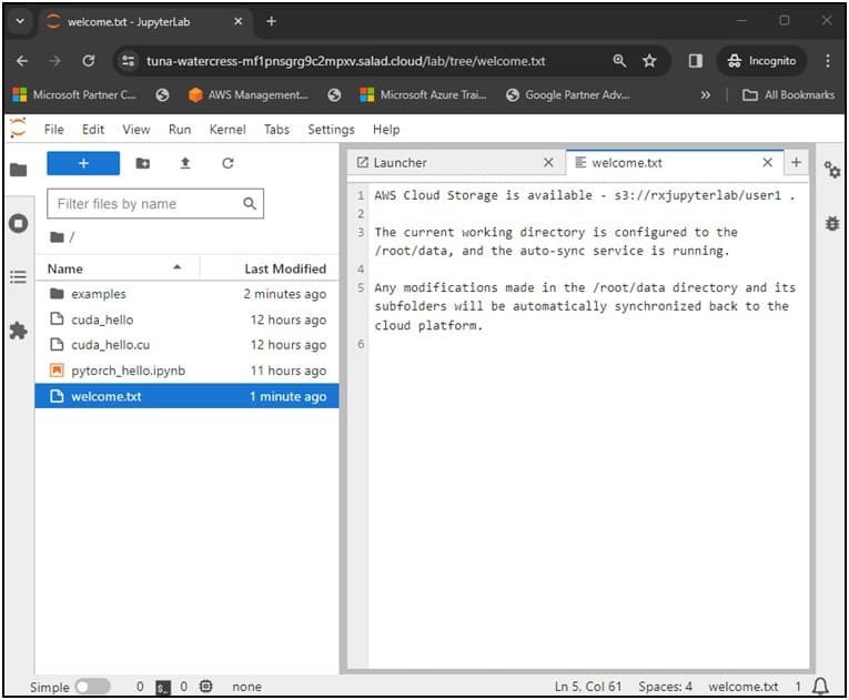 JupyterLab showing welcome.txt, which confirms S3 storage is available and that changes in /root/data are automatically synced back to the cloud