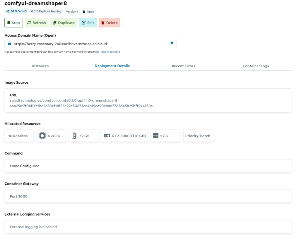 Waiting for our deployment in the SaladCloud portal