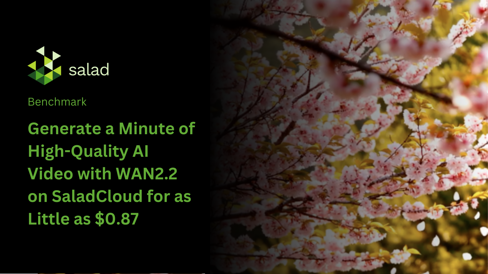 WAN2.2 benchmark